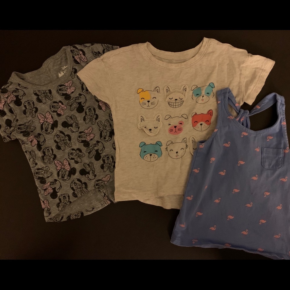 Bundle 2T short sleeve tops